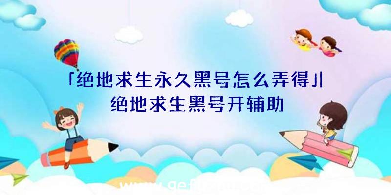 「绝地求生永久黑号怎么弄得」|绝地求生黑号开辅助